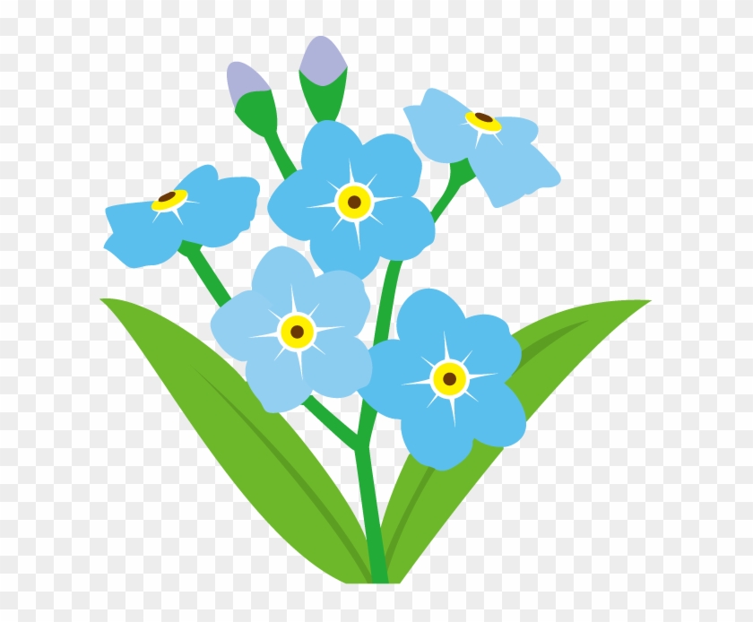 Download Png Image Report - Forget Me Not Clip Art #240718