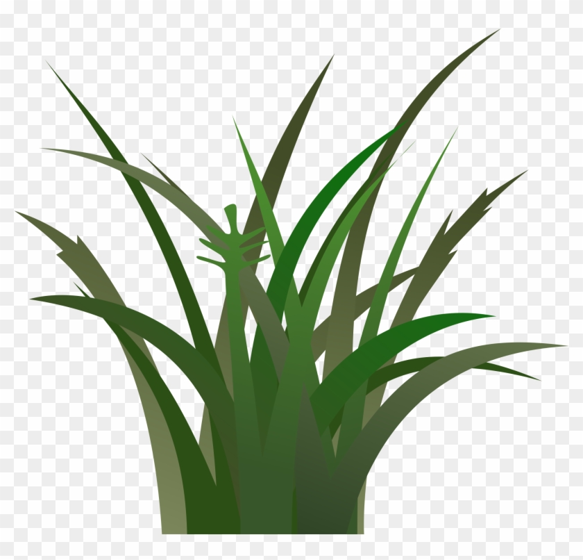 Grass - Vegetation Clipart #240804