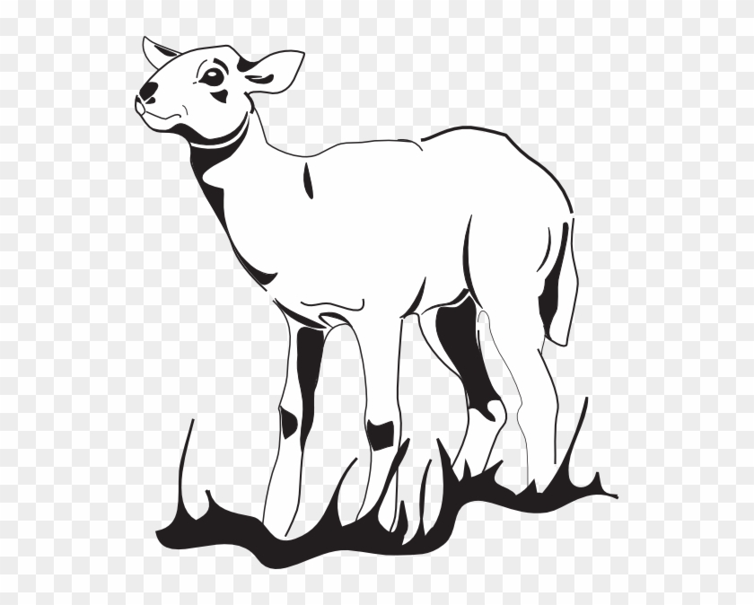 Lamb Tattoo Drawing Outline - Free Transparent PNG Clipart Images Download