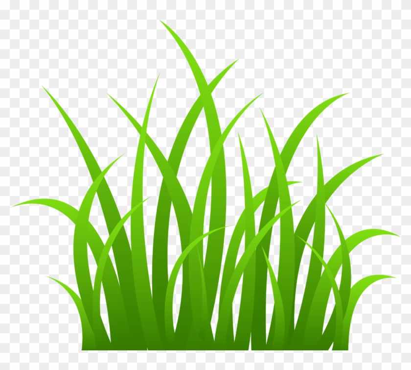 See Here Grass Clipart Black And White Outline Free - Transparent Background Clipart Grass #240820