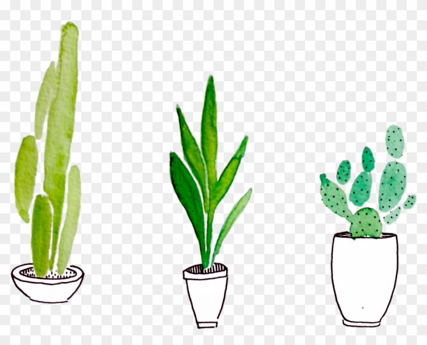 Grass Clipart Transparent Background - Cactus Png #240883