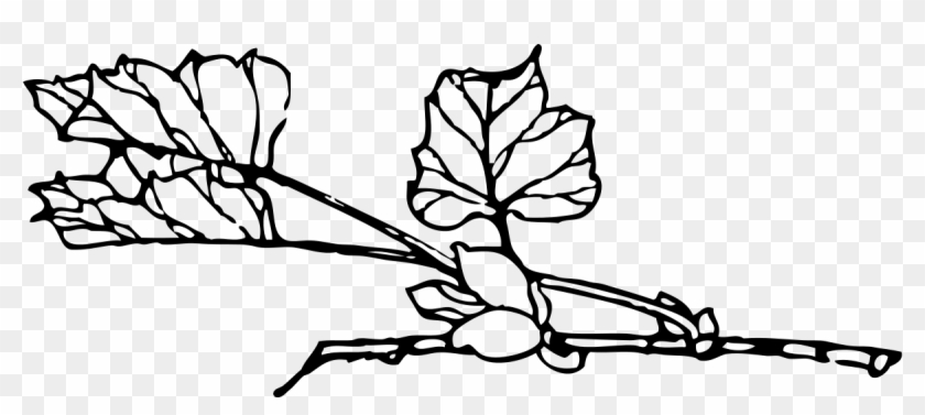 Branch With Flower Clipart By Johnny Automatic - Clip Art #241122