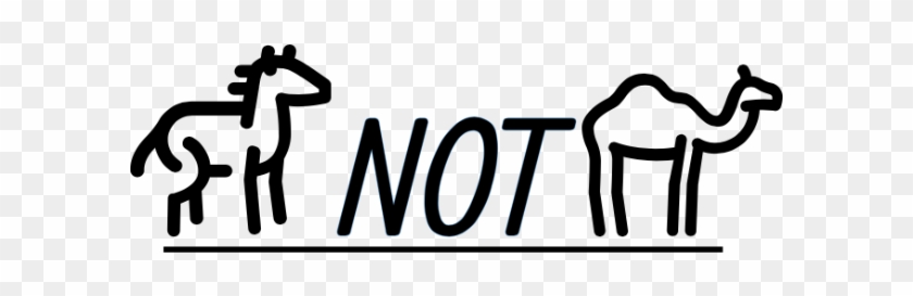 Horses, Not Camels - Horses, Not Camels #1531347