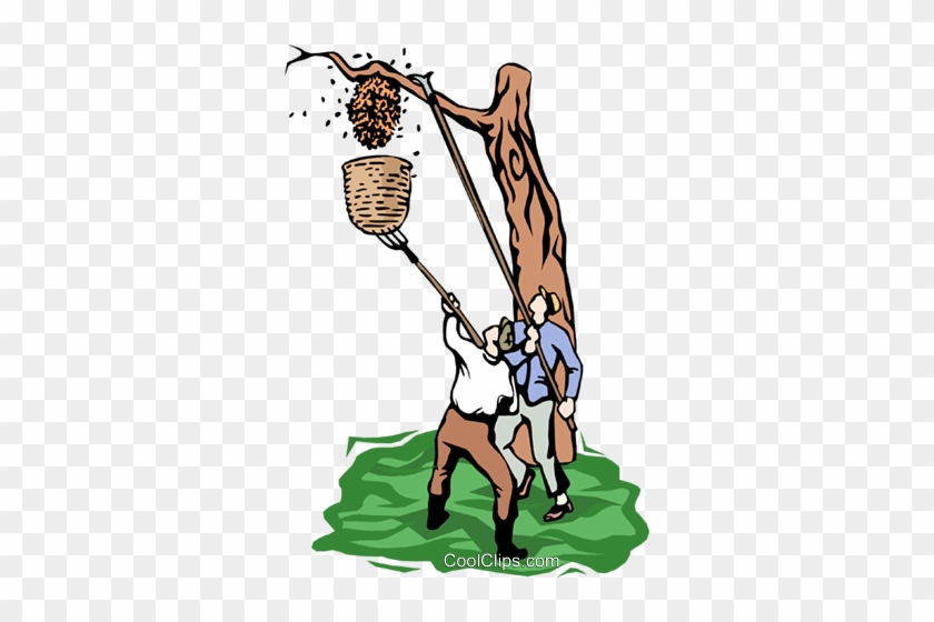 Removing A Hornet's Nest Royalty Free Vector Clip Art - Removing A Hornet's Nest Royalty Free Vector Clip Art #1531424