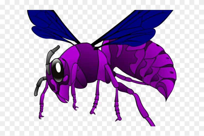 Hornet Clipart Transparent - Hornet Clipart Transparent #1531450