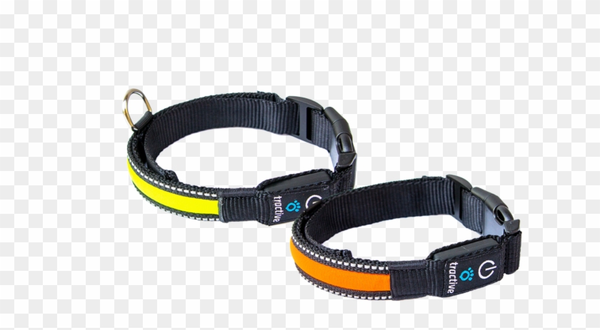 Led Clip Dog Collar - Led Clip Dog Collar #1531578