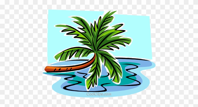 Leaning Palm Tree Royalty Free Vector Clip Art Illustration - Leaning Palm Tree Royalty Free Vector Clip Art Illustration #1531721