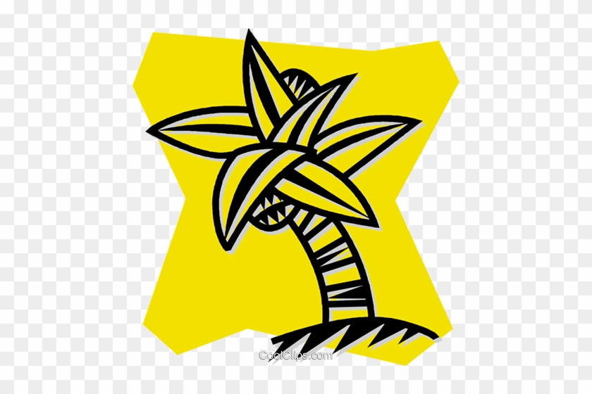 Palm Tree With Coconuts Royalty Free Vector Clip Art - Palm Tree With Coconuts Royalty Free Vector Clip Art #1531730