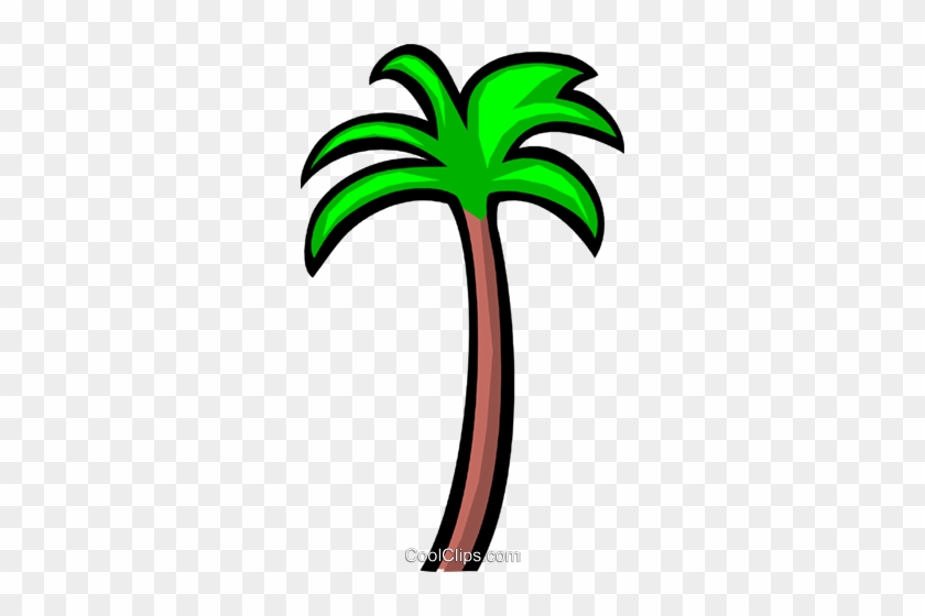 Palm Tree Royalty Free Vector Clip Art Illustration - Palm Tree Royalty Free Vector Clip Art Illustration #1531735