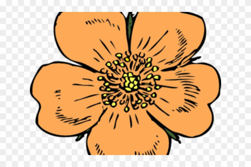 Peach Flower Clipart Orange - Peach Flower Clipart Orange #1531967