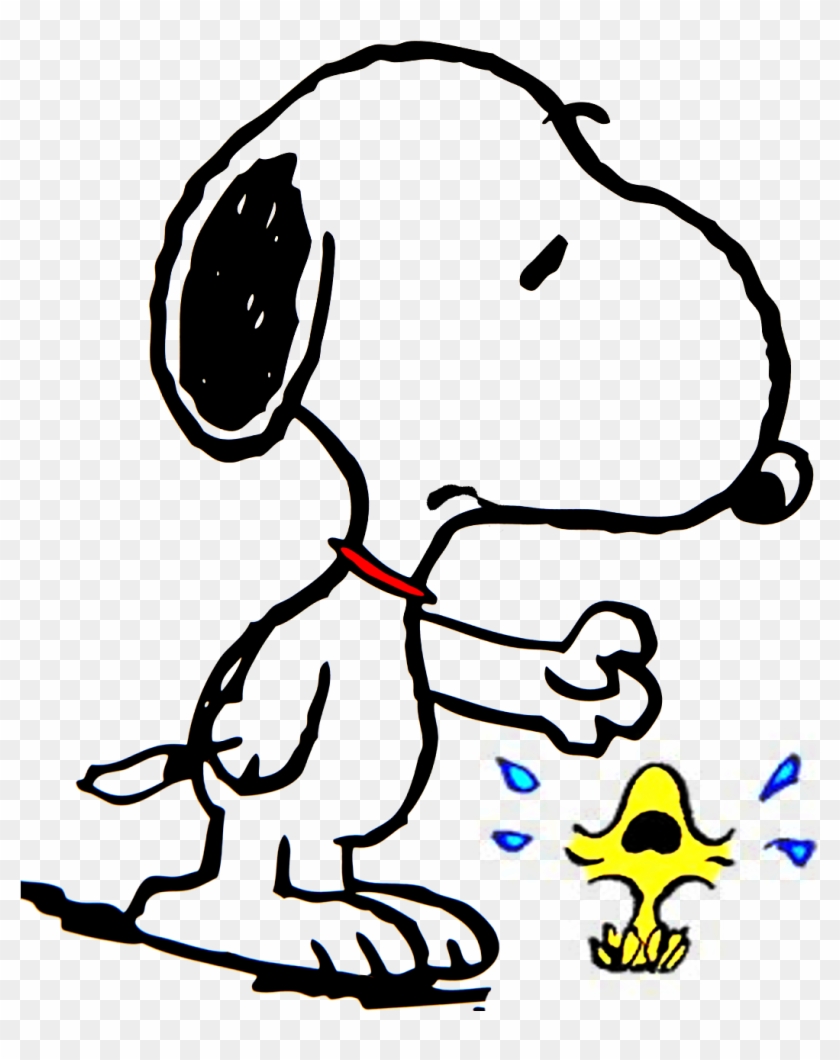 Snoopy Tries To Comfort Woodstock, Which Is Crying - Snoopy Tries To ...