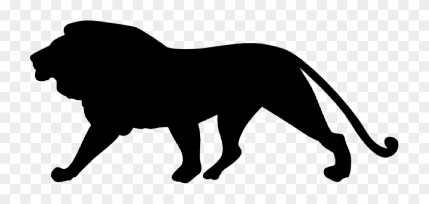 This Giant Cat Was As Big As The Machairodus Kabir - This Giant Cat Was As Big As The Machairodus Kabir #1532121