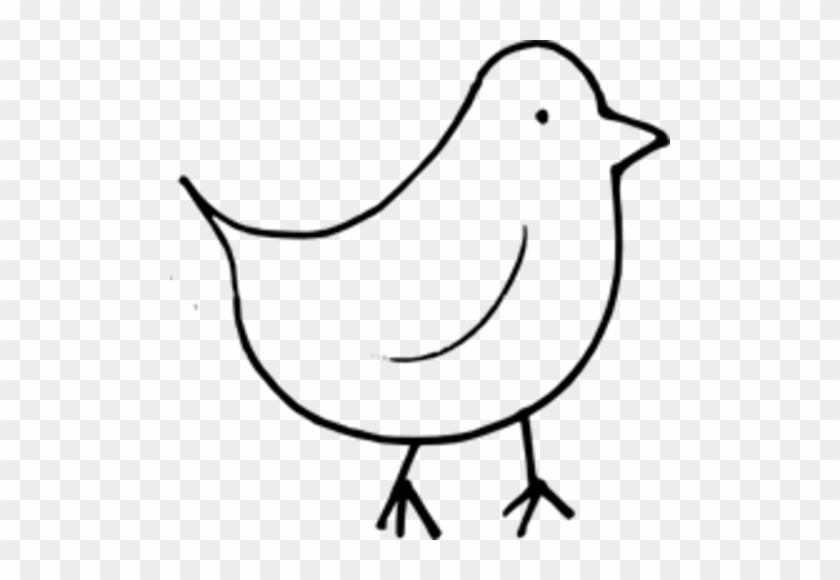 Orion Effekte - Orion Effekte #1532249