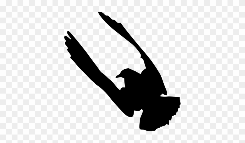 Bird Silhouette - Bird Silhouette #1532818