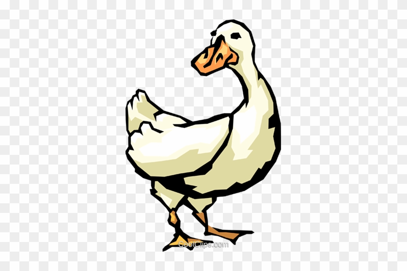 Duck Royalty Free Vector Clip Art Illustration - Duck Royalty Free Vector Clip Art Illustration #1532821