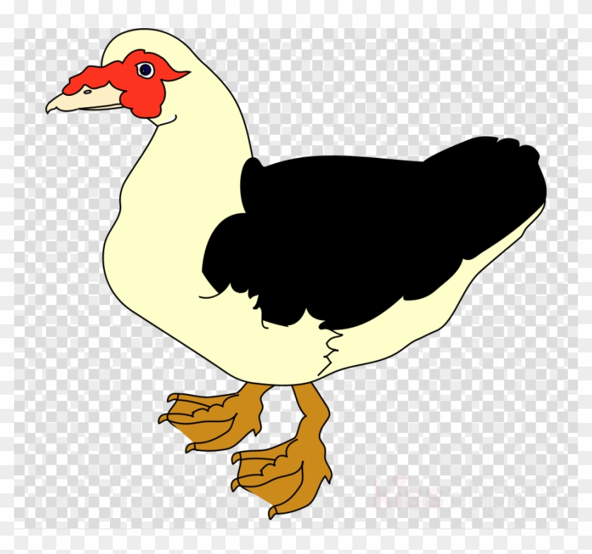 Clip Art Clipart Duck Clip Art - Clip Art Clipart Duck Clip Art #1532826