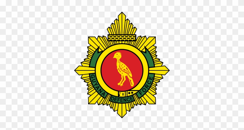 Guyana Defence Force Fc - Guyana Defence Force Fc #1533009