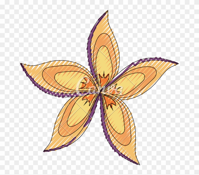 Beautiful Flower Symbol - Beautiful Flower Symbol #1533031
