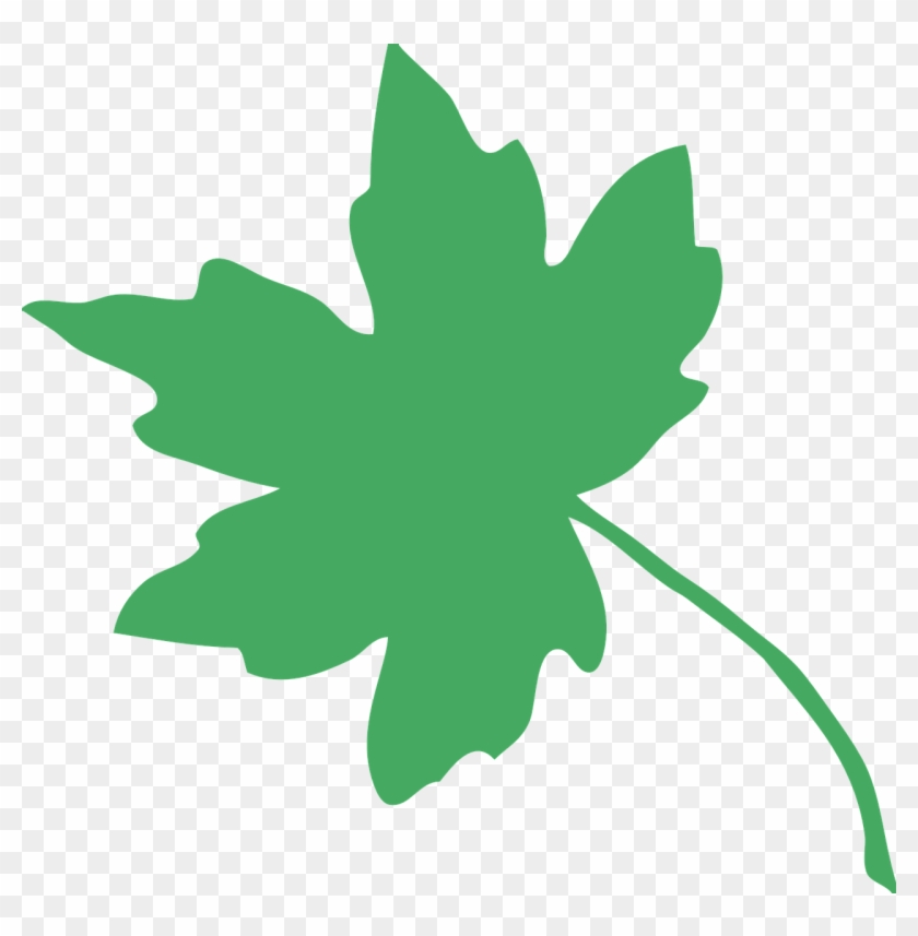 Leaf,tree,green Waste,maple,free Vector Graphics,free - Leaf,tree,green Waste,maple,free Vector Graphics,free #1533328