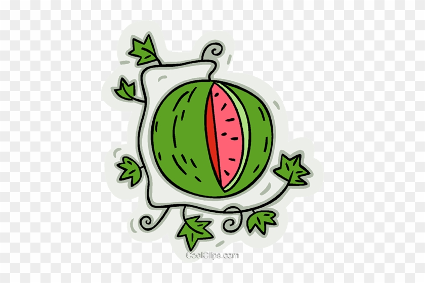 Watermelon On Vine Royalty Free Vector Clip Art Illustration - Watermelon On Vine Royalty Free Vector Clip Art Illustration #1533506