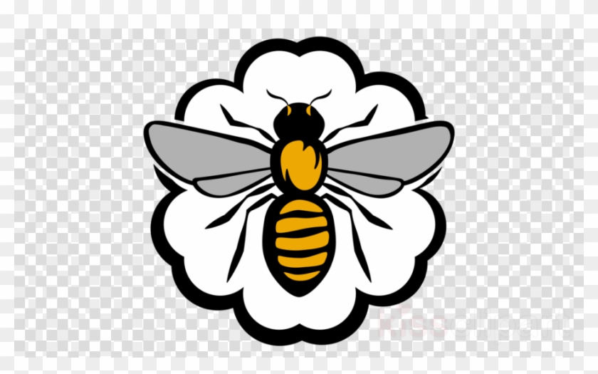 Honey Bee Clipart Honey Bee - Honey Bee Clipart Honey Bee #1534168