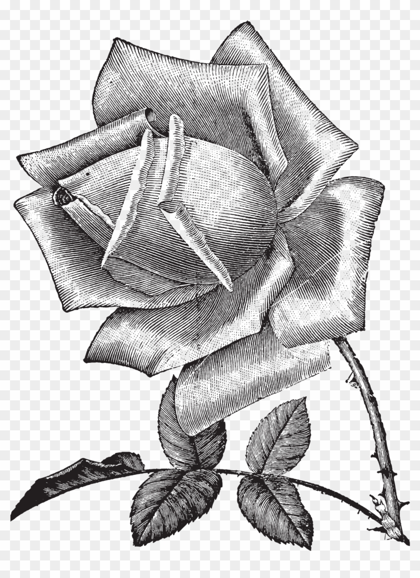 Vintage Sketch At Paintingvalley - Vintage Sketch At Paintingvalley #1534228