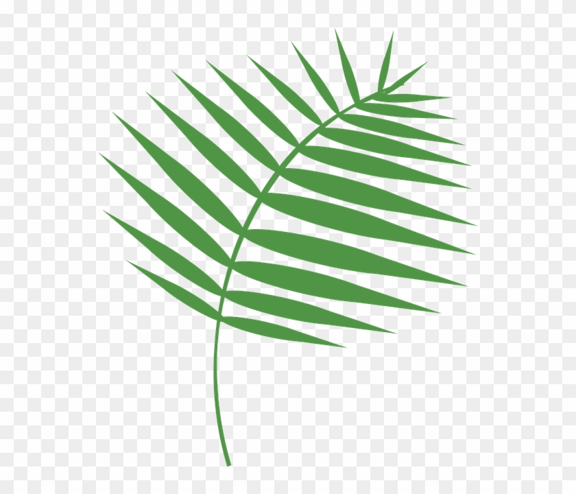 Download This Free Picture About Graphic Palm Sunday - Download This Free Picture About Graphic Palm Sunday #1534357