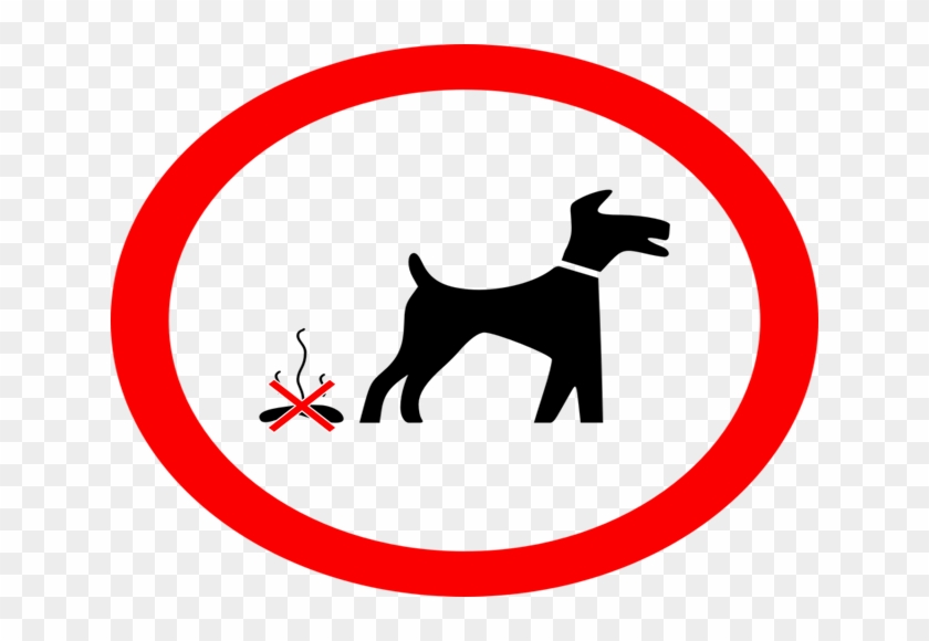 Cork City Council Issue 12 Fines For Dog Fouling So - Cork City Council Issue 12 Fines For Dog Fouling So #1535265