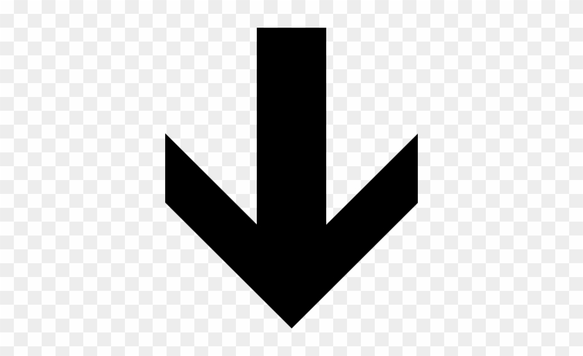 Roses Lyrics Video Mp3 Download - Roses Lyrics Video Mp3 Download #1535418