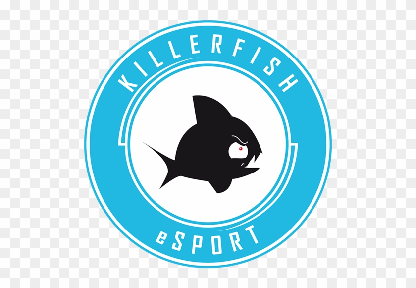 Kivi And Rockzz In Particular Make The Most Of Their - Kivi And Rockzz In Particular Make The Most Of Their #1535692