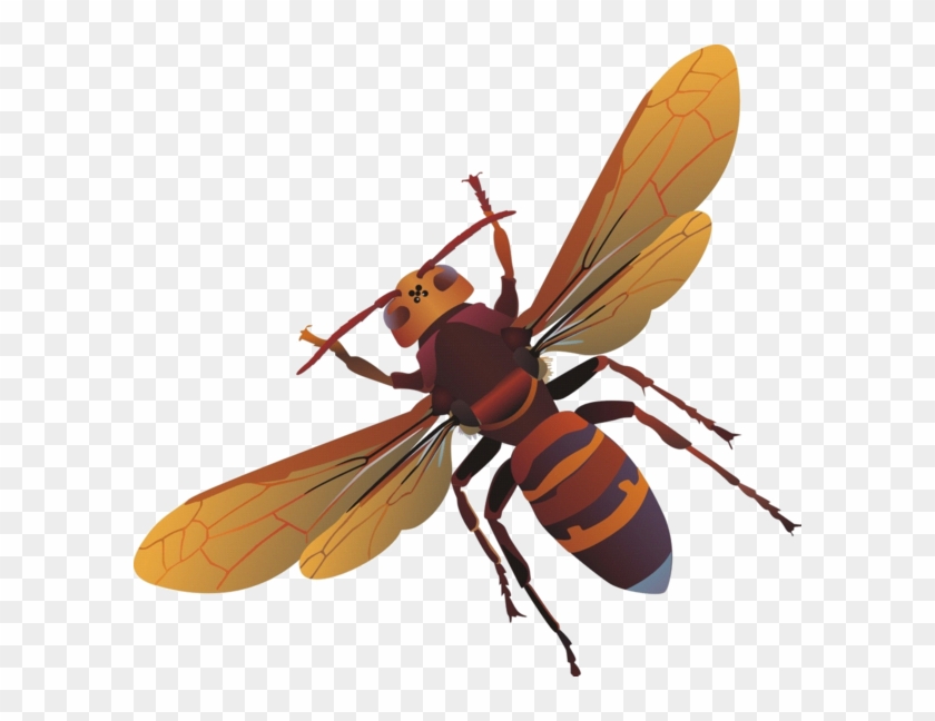 Clip - Clip #1535715