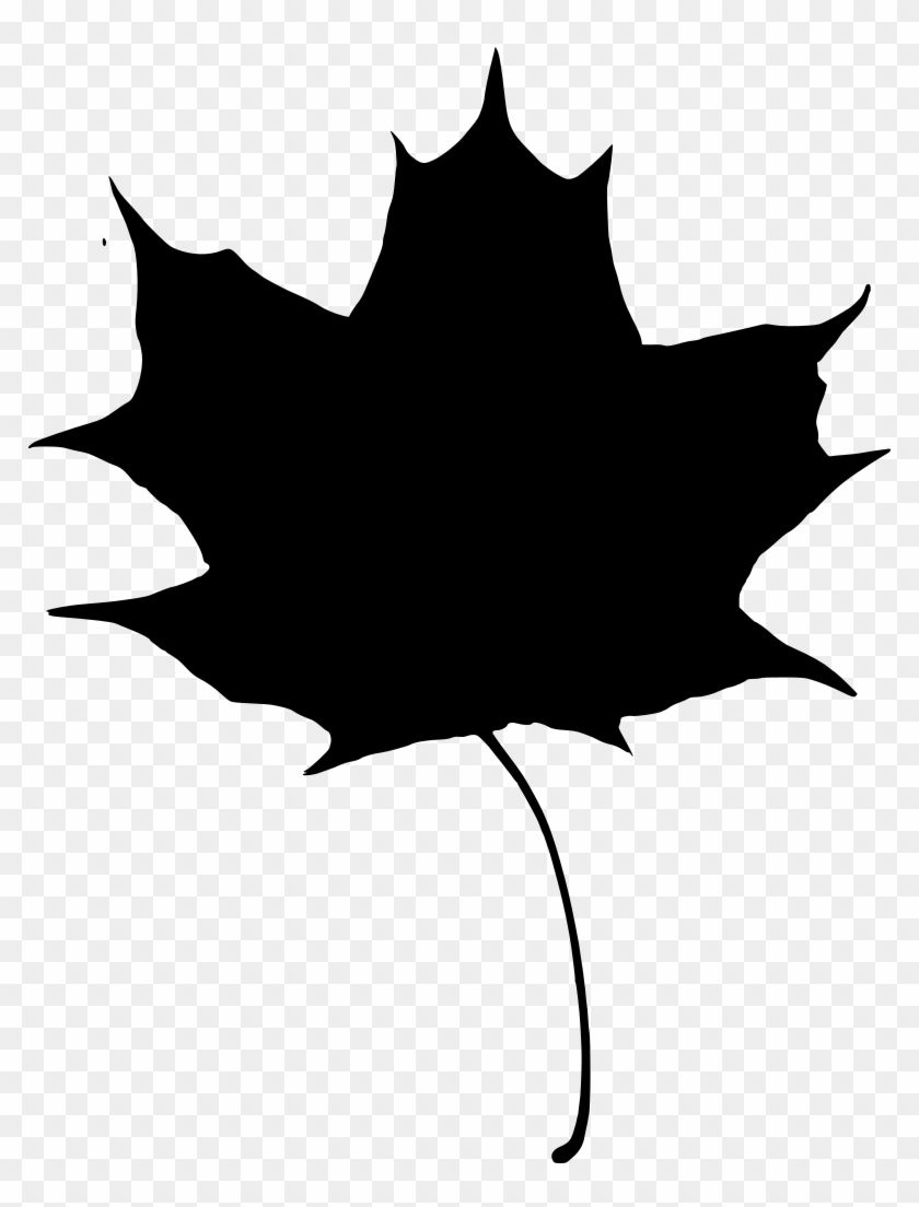 Info - Info #1535760