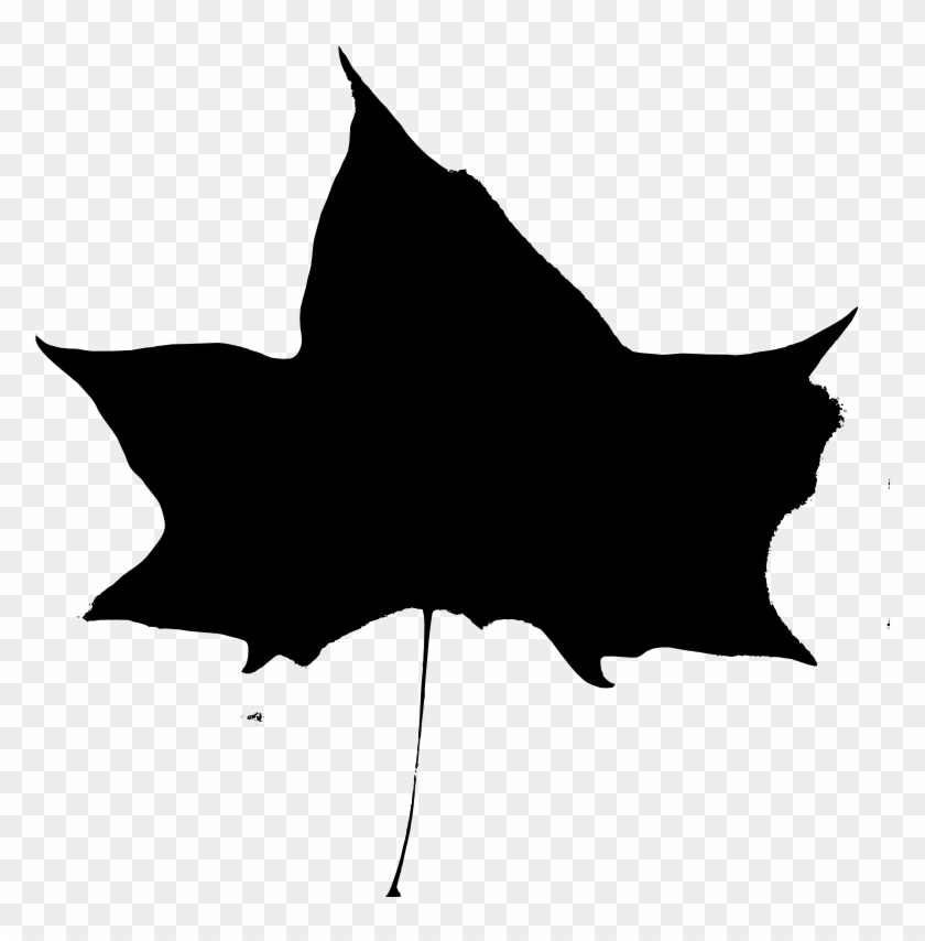 Fall Beijing Leaves Black Stencil - Fall Beijing Leaves Black Stencil #1535766