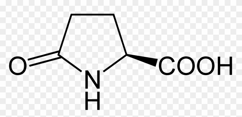-pyroglutamic Acid Structural Formulae - -pyroglutamic Acid Structural Formulae #1535919