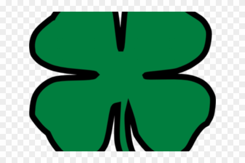 Shamrock Clipart Owl - Shamrock Clipart Owl #1535937