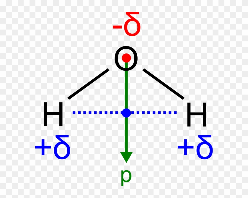 Dipole Vector Water Molecule - Dipole Vector Water Molecule #1536263