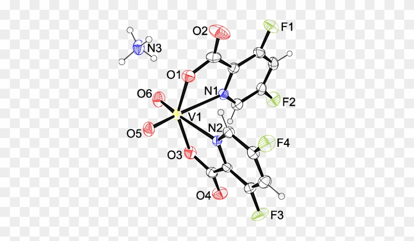 Structure Of Nh 4 [vo 2 2 ] - Structure Of Nh 4 [vo 2 2 ] #1536312