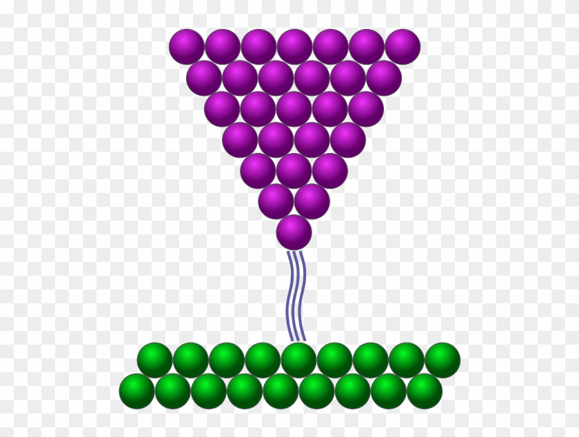 Scanning Tunnelling Microscopes Use A Very Sharp Tip - Scanning Tunnelling Microscopes Use A Very Sharp Tip #1536337