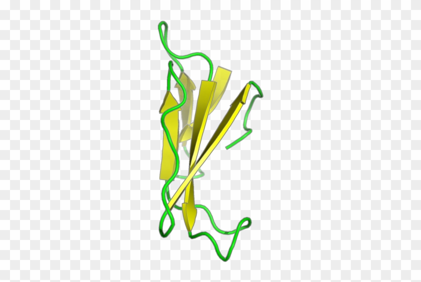 Nmr Structure With Tightly Bound Water Molecules Of - Nmr Structure With Tightly Bound Water Molecules Of #1536348