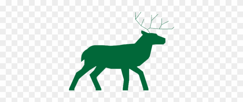 Deer Safari - Deer Safari #1536385