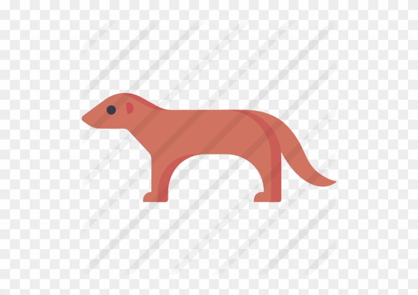 Mongoose Free Icon - Mongoose Free Icon #1536504