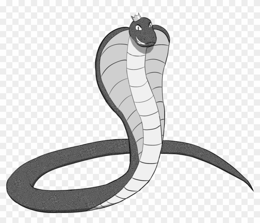 The Gallery For Gt King Cobra Drawings Snake King Cobra - The Gallery For  Gt King Cobra Drawings Snake King Cobra - Free Transparent PNG Clipart  Images Download