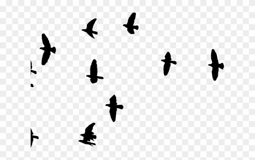 Flock Of Birds Clipart Cartoon - Flock Of Birds Clipart Cartoon #1536580
