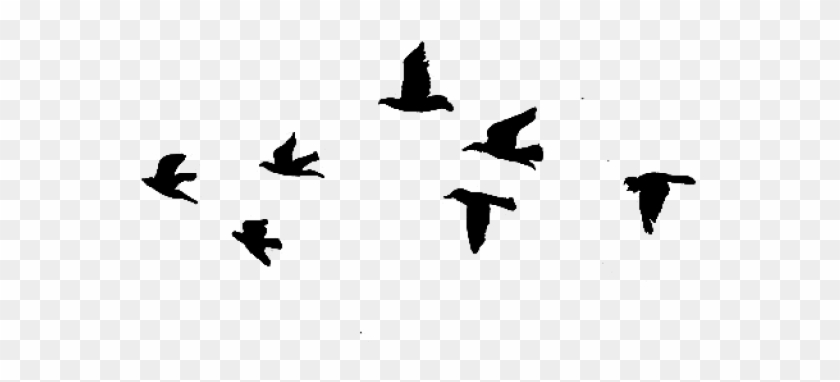 Flock Of Birds Clipart Flying - Flock Of Birds Clipart Flying #1536592