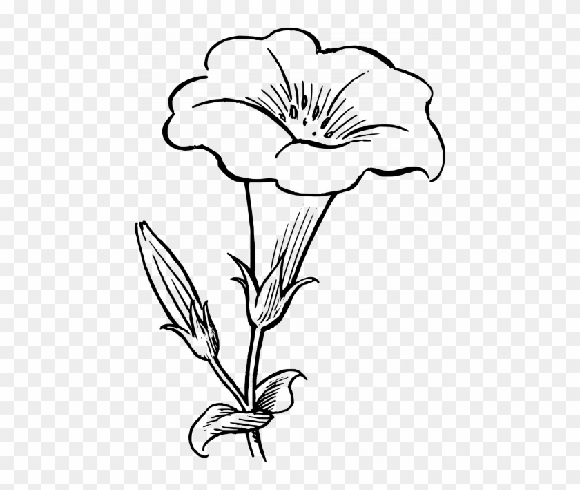 Tulip Flower Clipart Black And White - Tulip Flower Clipart Black And White #1536605