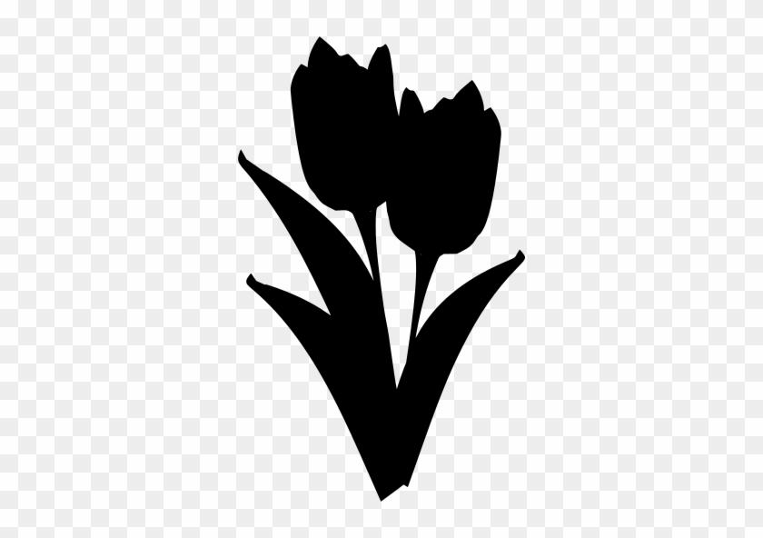 Info - Info #1536614