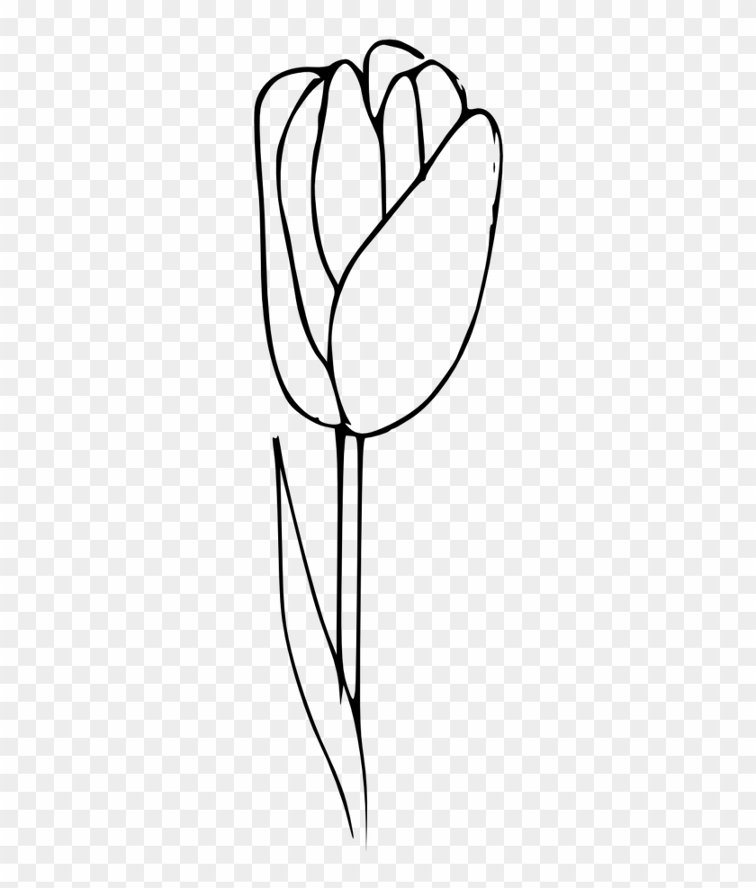 Outline,tulip Coloring,flower,plant - Outline,tulip Coloring,flower,plant #1536620