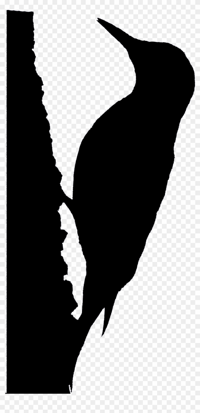 Red Bellied Woodpecker Silhouette Clipart Woodpecker - Red Bellied Woodpecker Silhouette Clipart Woodpecker #1536718