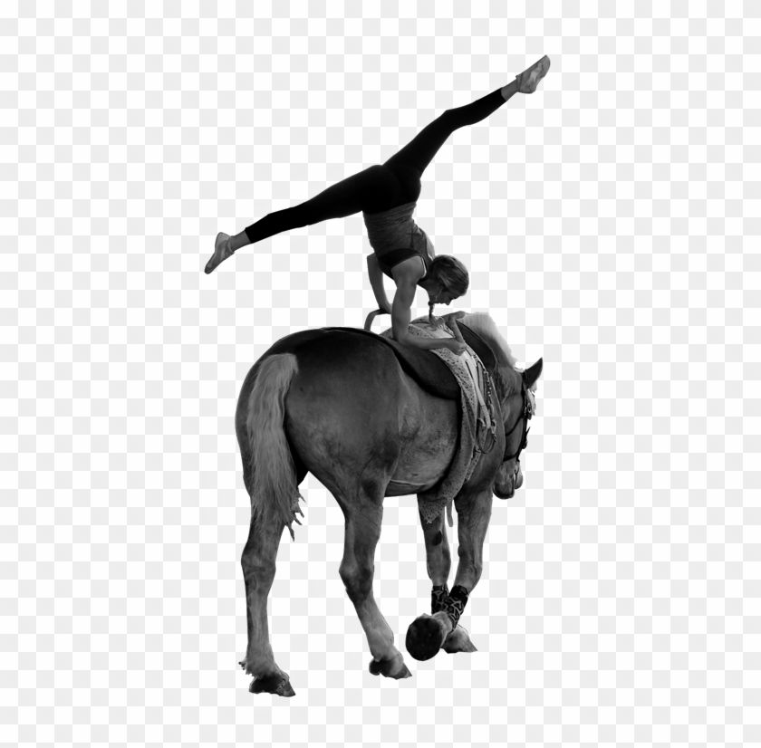 Vaulting Transparent Background - Vaulting Transparent Background #1537072