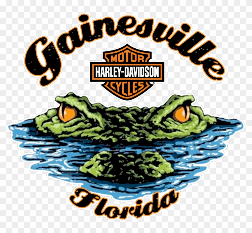 Welcome To Gainesville Harley-davidson® - Welcome To Gainesville Harley-davidson® #1537102